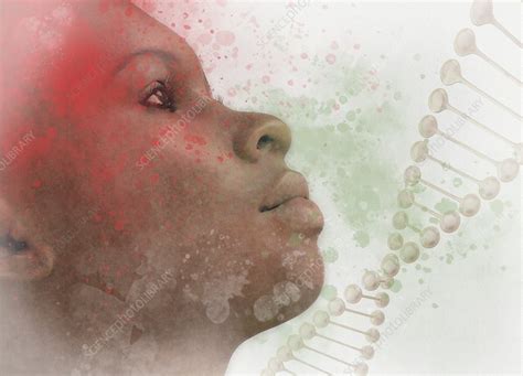 Genetics Conceptual Illustration Stock Image F0326185 Science