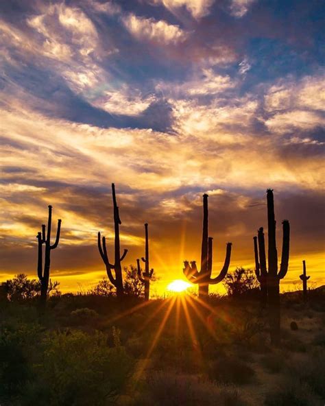 Phoenix Sunset Visit Phoenix Arizona Sunset Instagram