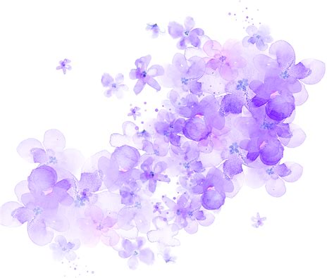 Download for free purple flower. ftestickers watercolor flowers purple transparent...
