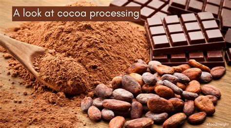 Unwrapping Our Chocolate Cocoa Processing Insights Food Insight