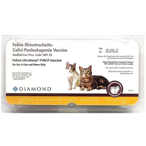 Feline distemper is a serious disease that affects domestic cats as well as wild ones. Feline UltraNasal FVRCP Vaccine 20 Ds Tray | UltraNasal ...