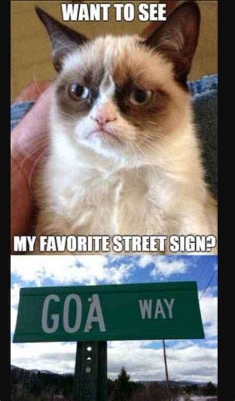 Savage Funny Grumpy Cat Memes