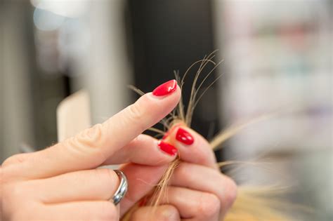 10 Ways To Avoid Split Ends Like The Plague Sheknows