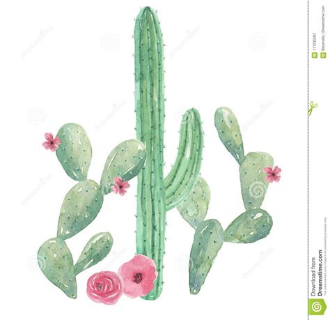 Cactus Watercolor Green Cacti Arrangement Mexican Pink Flowers Bouquet