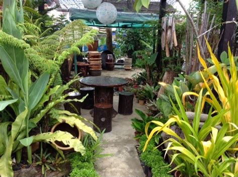 Maklumat kepada pgopbs sungai puyurespond kes: HaPPiNeSS of LiFe ‿ : Kedai Landskap Sungai Petani : LOT ...