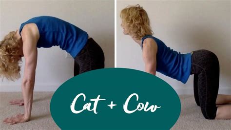 How To Progress Your Cat And Cow Exercise
