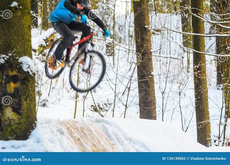 Mountain Biking In Snowy Forest Editorial Stock Photo Image Of