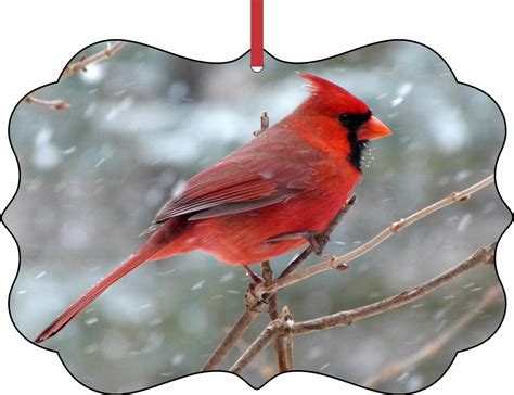 Ornament Cardinal Red Cardinal Bird In The Snow Elegant Aluminum