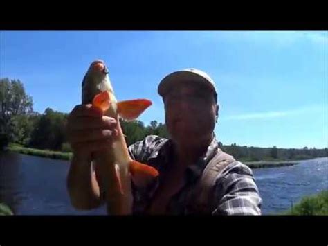 Fishing The River - YouTube