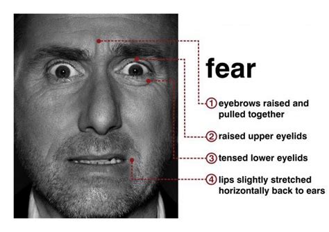 How To Detect Lies Micro Expressions By Nick Babich Medium Reading