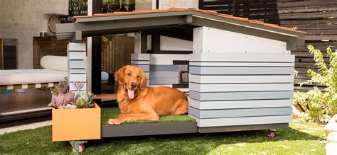 10 Best Dog Houses In 2024 🏠 Top Rated Cool Dog Houses For Warm And