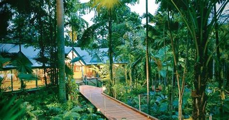 Tropical Rainforest Australia Oh The Places Youll Go