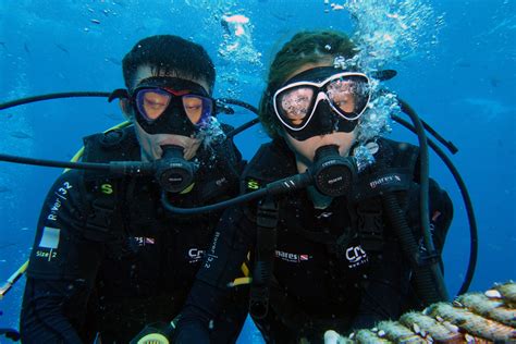 Great Team In Koh Tao Padi Divemaster Course Rescue Diver Best Scuba