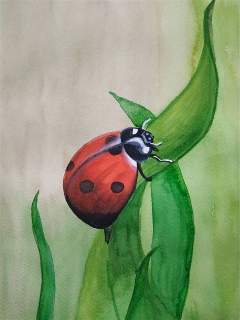Ladybug In Watercolor Original Painting Small Canvas Art Amazing Art