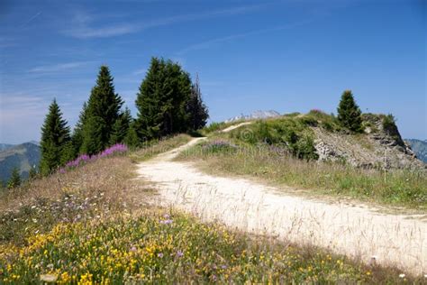 Mountain Dirt Road In French Alps Stock Image Image Of Firetop Dirt