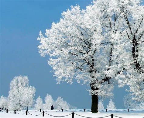 26 Winter Wallpaper Hd For Smartphone Download Wallpapers Full Hd