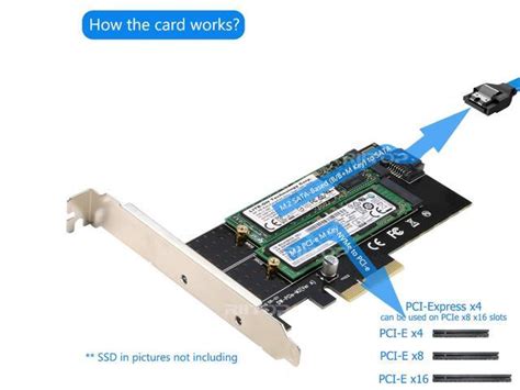 Dual M To Pcie Adapter Riitop M Nvme Ssd To Pcie Adapter Ngff B