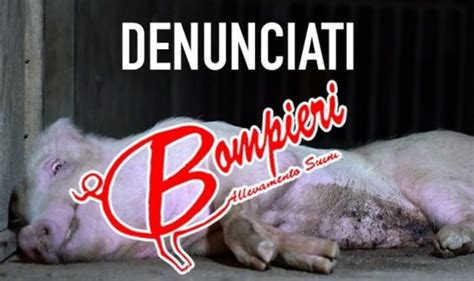 Gruppo Bompieri Lazienda Denunciata Per Maltrattamenti Sugli Animali