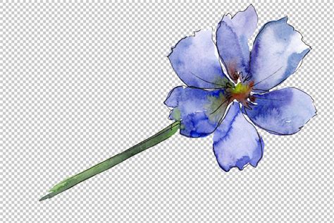 Maybe you would like to learn more about one of these? Cosmos flower blue Watercolor png By MyStocks ...