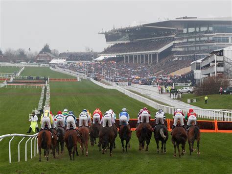 Sire du berlais isn't a horse to necessarily do it the pretty way but finds a way to get his nose in front. Cheltenham Festival 2019 LIVE: Race results, tips, best ...