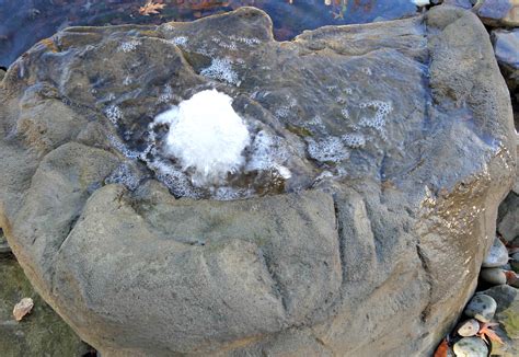 Cave Rock Waterfalls Backyard Pond Less And Pool Waterfalls