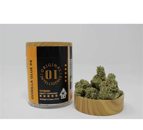 Gorilla Glue 4 Recreational Cannabis 420 Kingdom Delivery