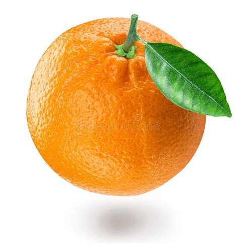 Orange Fruit With Orange Leaf Isolated On White Background File