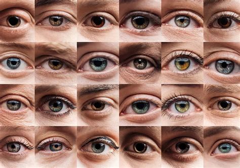 Ojos Que Cambian De Color Según El Estado Del Tiempo ¿mito O Realidad