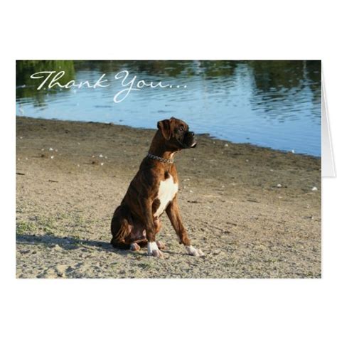Thank You Boxer Puppy Greeting Card Zazzle