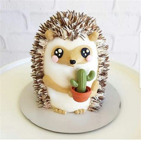 Hedgehog Birthday Cake Crazy Cakes Hedgehog Cake Animal Cakes