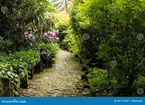 Walkway Through A Botanical Garden Stock Image Image Of Botanic