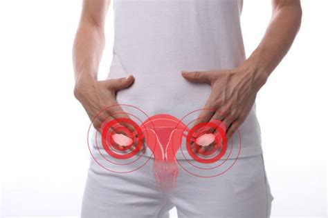 Ovare Marite Cauze Simptome Si Tratament The Best Porn Website Hot
