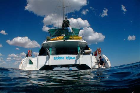 Scuba Diving In Ningaloo Reef Joes Scuba Shack