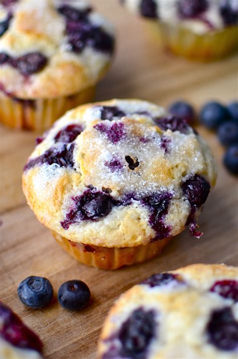 Yammies Noshery The Best Blueberry Muffins Ever