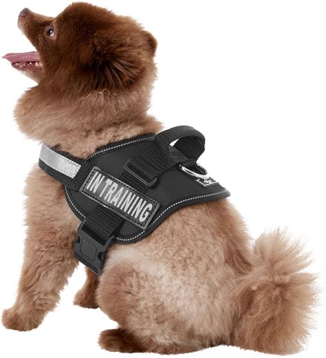Doggie Stylz In Training Dog Harness Black Medium