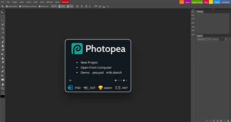 If you're a graphic designer or photographer, photoshop is one of the most powerful photo editors that you can use. Top 10 Best ⚡ Adobe Photoshop Alternatives (Free/Paid ...