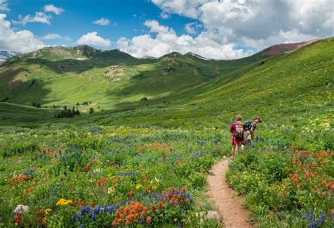 Top Wildflower Hikes In Aspen In 2020 Colorado Travel