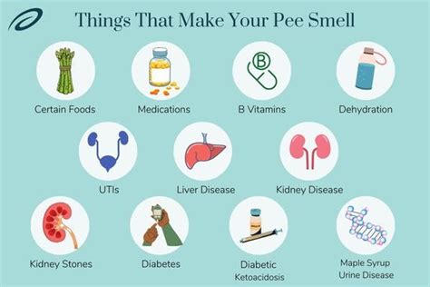 Why Does My Pee Smell And What It Means Aeroflow Urology