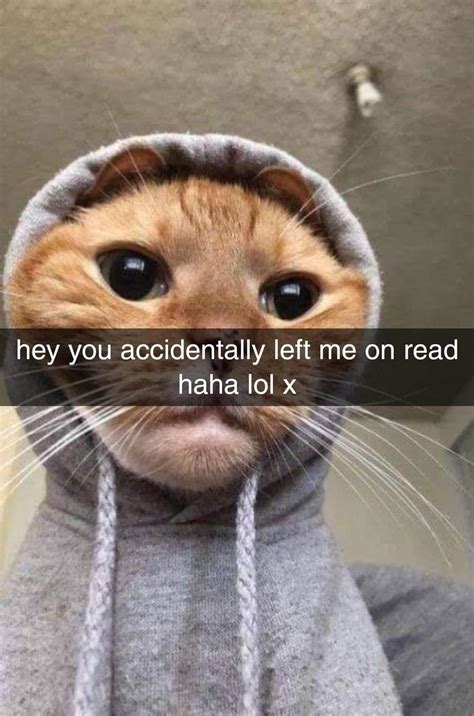 Meme I Think You Accidentally Left Me On Read