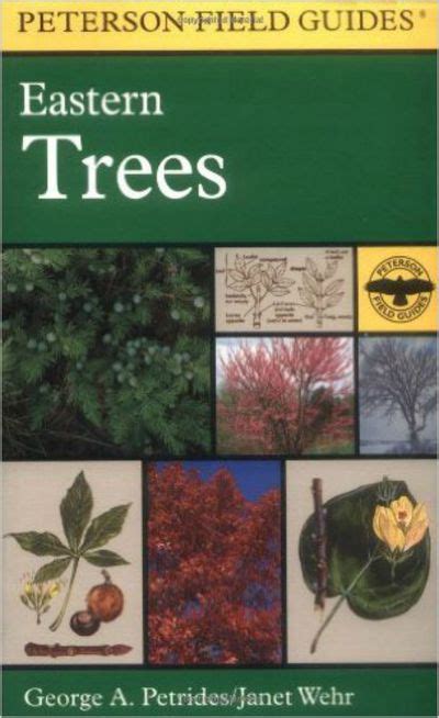 the 6 best tree identification guides