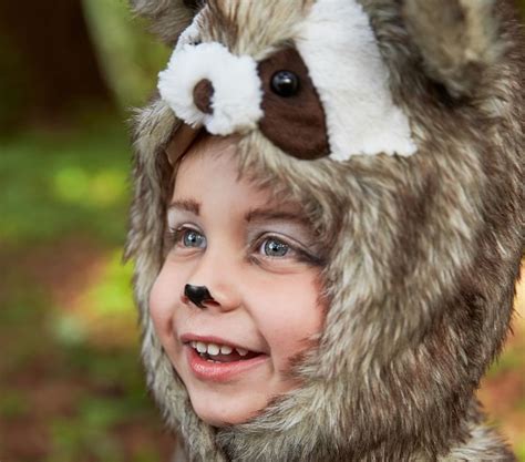 Woodland Raccoon Toddler Halloween Costume Pottery Barn Kids