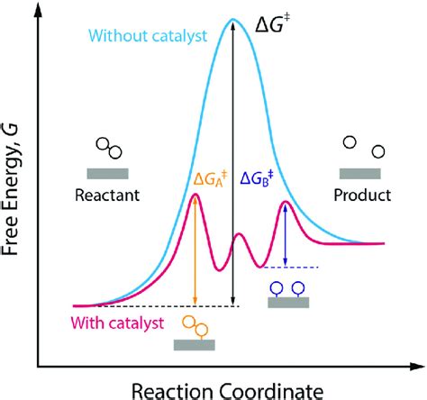 Reaction Coordinate Diagram Showing The Working Principle Of A Catalyst