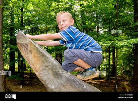 Year Old Boy Climbing Tree Hi Res Stock Photography And Images Alamy