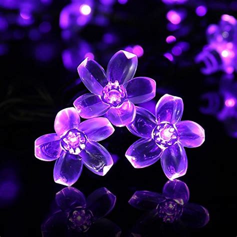 Check spelling or type a new query. LuckLED Flower Solar Christmas Lights, 21ft 50 LED Fairy ...