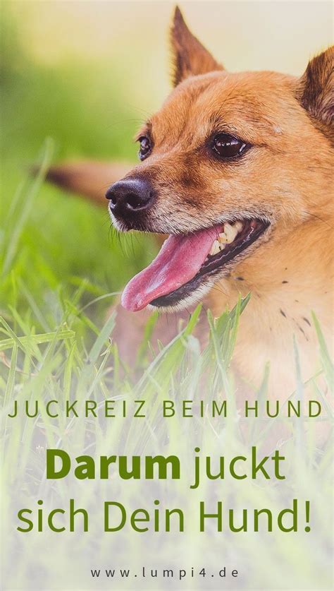 We did not find results for: Starkes Haaren, Juckreiz, Haarverlust um die Augen ...