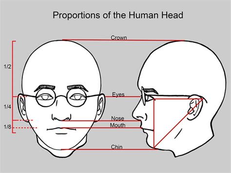 Proportion A Principle Of Art