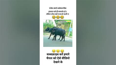 स्वेग देख रहेहो Swag Dekh Rahe Ho 😂😂 Short Viral Video Funny Video Shorts