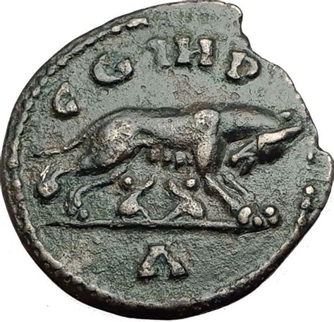 Macrinus 217ad Parium Parion Mysia Authentic Ancient Roman Coin She