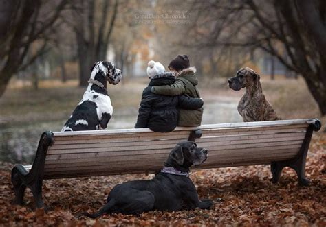 36 Truly Magical Photos Of Little Kids And Their Big Dogs