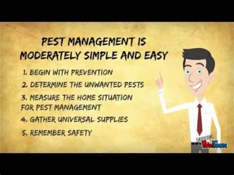 How you can Do Your Personal Pest Management - YouTube